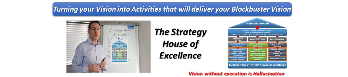 Building Your Strategy House of Excellence